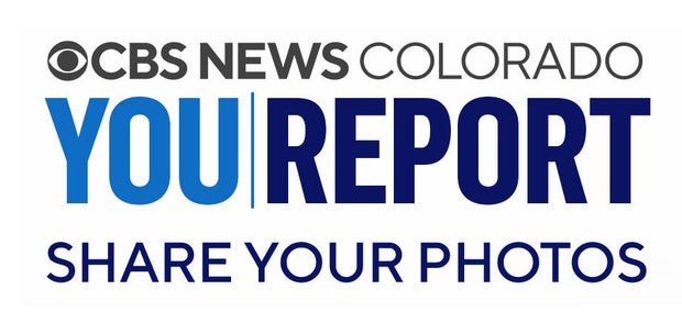 youreport.jpg 
